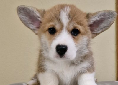 viberimage202503162043041541742501014