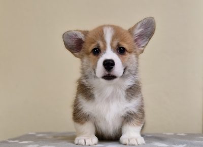 viberimage202503162043041751742501013