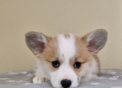 viberimage202503162043043551742501012