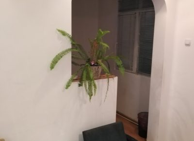 IMGc8b0901a3f0232eb4fece11ae40187c6V1744576845