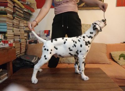 viberimage202503311628435311743708138