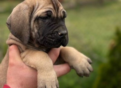 687cdc88bd4e4b1cb0ce982ddd0db1d5768x10241747082662