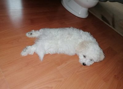 7f7f1a46decd4effa59684ce84c8a4741747684720