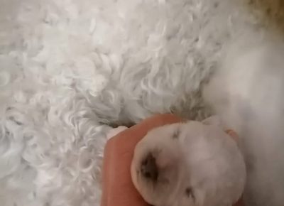 7fa8d66ccb2a4a0eabd4563e0d5599151747684717