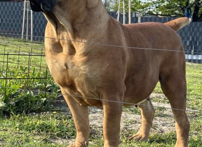 aiberimage202505051846249751746966546