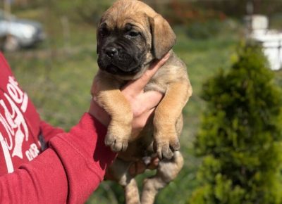 b172407758804a41a9a0e513f8f78b66768x10241747082664