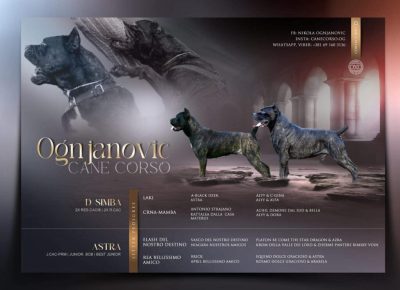 e674ba282b244d29bbbde5fe4cc7384e1024x7401747082665