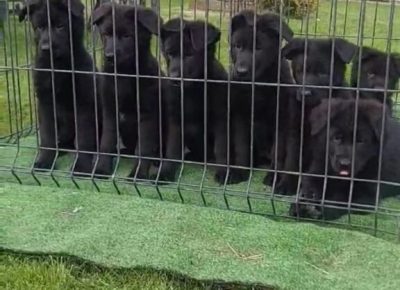 viberimage20250415115024173576x102411746901511