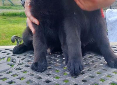 viberimage20250415115024271461x102411746901508