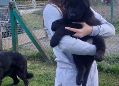 viberimage20250415115024343461x102411746901508