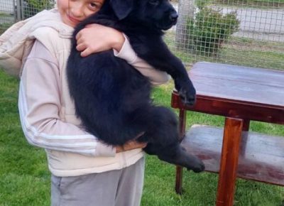 viberimage20250415115024386461x102411746901509