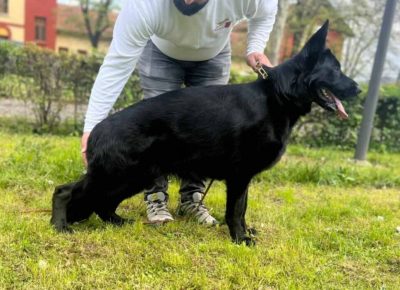 viberimage202504151150244201024x70111746901509