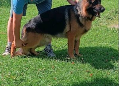 viberimage20250415115024480524x102411746901509