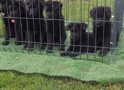 viberimage20250415115311317576x102411746901510