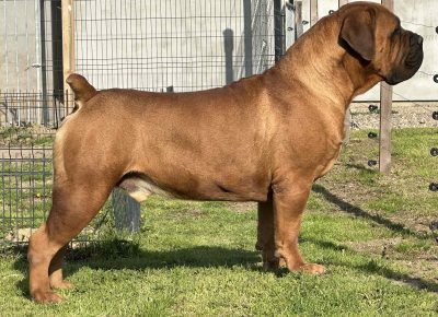 viberimage202505051845118861746966548