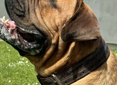 viberimage202505051845126611746966544