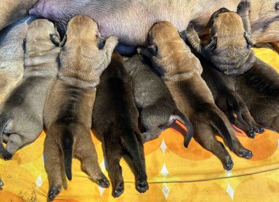 viberimage202505101917007081746966546