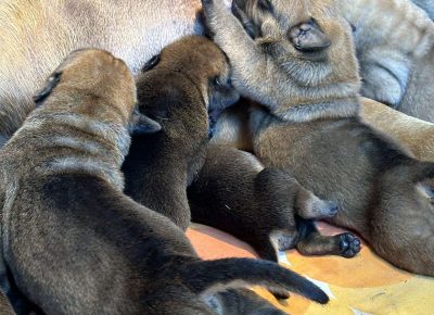 viberimage202505101917130801746966547