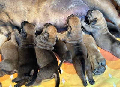 viberimage202505101917266461746966547