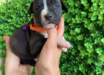 viberimage202505141658420101747766868