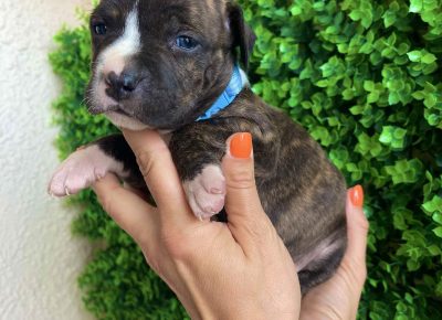 viberimage202505141658464541747766867