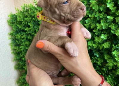 viberimage202505141658530831747766867