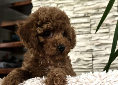 viberimage202505241444102741748373686