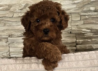 viberimage202505241444111311748373683