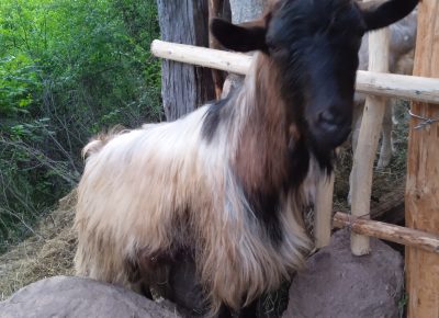 IMG202506252016171751187348