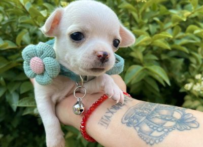 viberimage202506111447089301749940014