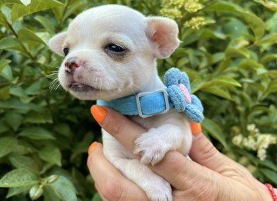 viberimage202506111447099781749940017