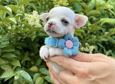 viberimage202506111447104761749940015