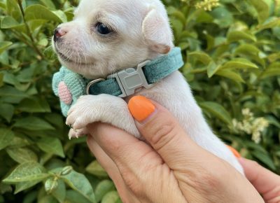 viberimage202506111447107381749940016