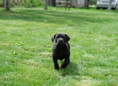 62d3b2625b174310b7f7307e5a4837951752519653