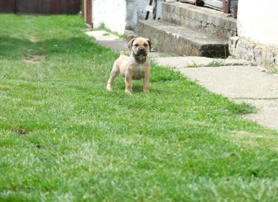 a75d68e617b24b0e9028d188ec1d9fa71752519652