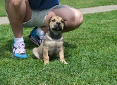 c77ef496952a453b9dc1b7dcee3d36301752519652