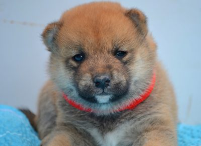 viberimage202507151435015941753007483