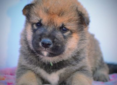 viberimage202507151435017221753007485