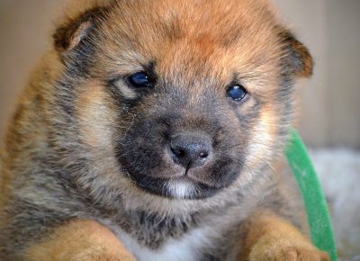 viberimage202507151435021061753007487