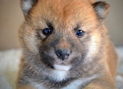 viberimage202507151435021671753007485