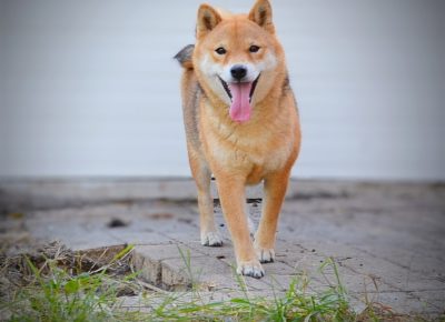 viberimage202507151436543841753007488