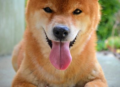 viberimage202507151438403161753007487