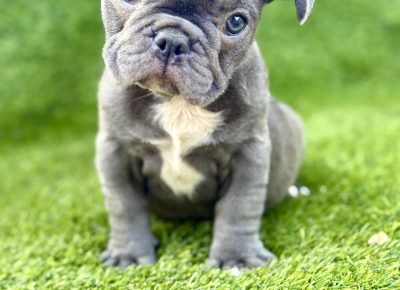 viberimage202507281002314981753826477