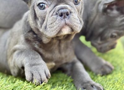 viberimage202507281002318261753826476