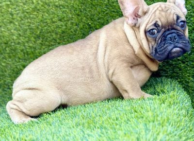 viberimage202507281002324931753826476