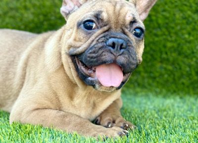 viberimage202507281002328261753826478