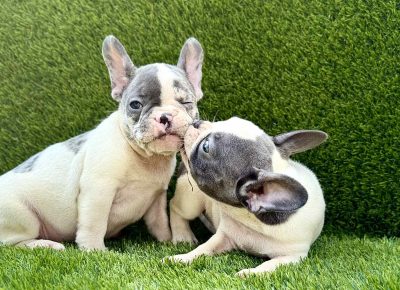 viberimage202507281002331431753826479