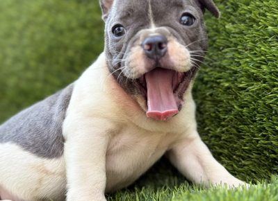 viberimage202507281003122401753826478