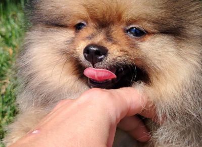 0fca6d0e67314d0fbc186b6abb055d2b1754678924