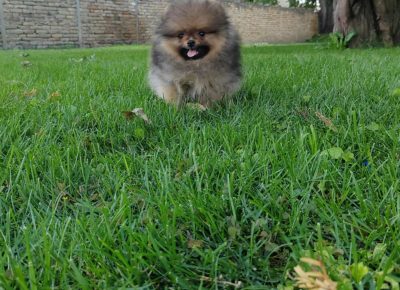 4dfd57ccf0754f0b84779d5af3dbd63a1754678925